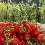 Rritja E Koranit 4*