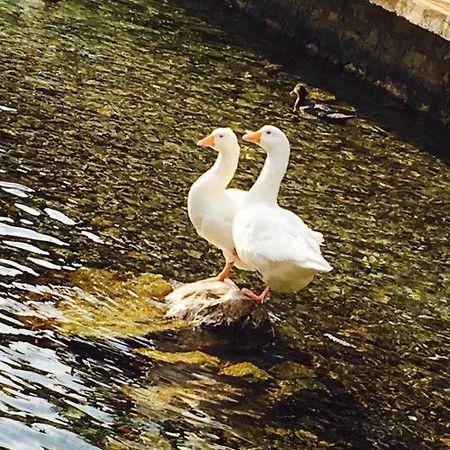 Hotel Rritja E Koranit 4*