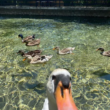 Rritja E Koranit Hotel 4*