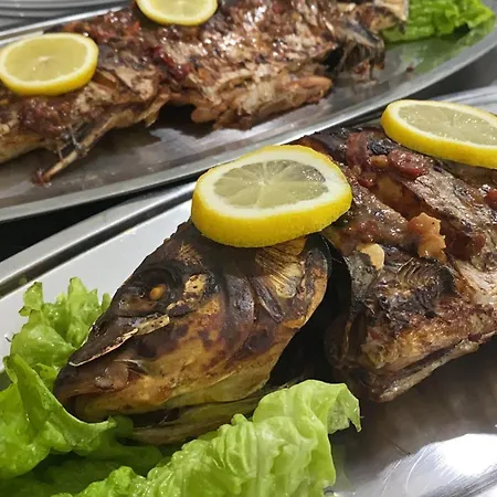 فندق Rritja E Koranit