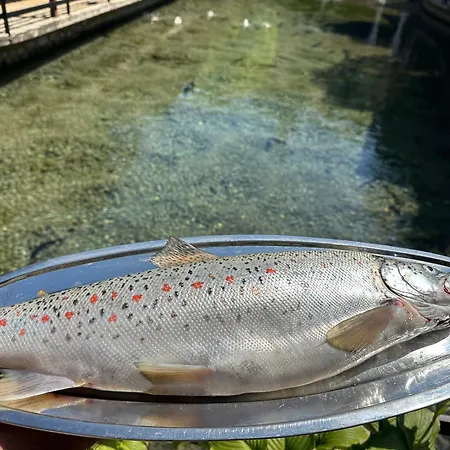 فندق Rritja E Koranit 4*