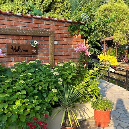 Szálloda Rritja E Koranit 4*