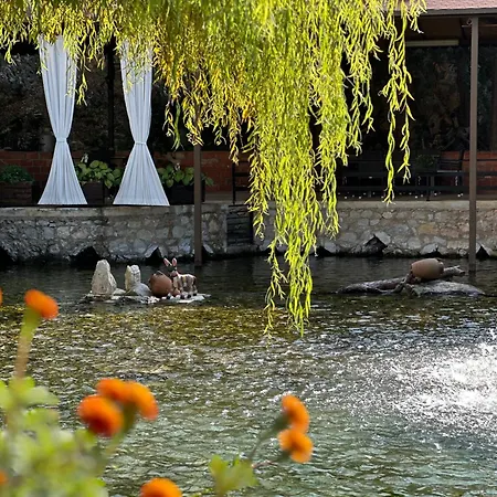 Rritja E Koranit Szálloda Tushemisht