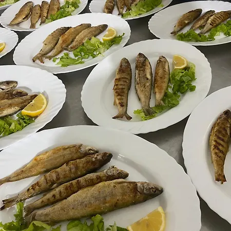 Szálloda Rritja E Koranit